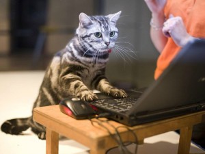 Удаленная_работа_через_Интернет