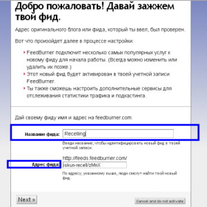 FeedBurner_3 Настройка фида 3
