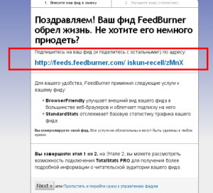 FeedBurner_4 Настройка фида 4