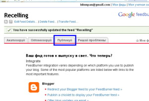 FeedBurner_6 Настройка фида 6