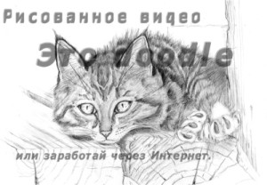 Doodle video