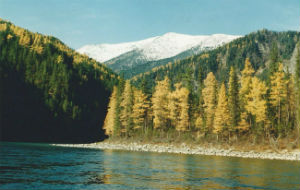 Сплав_по_реке