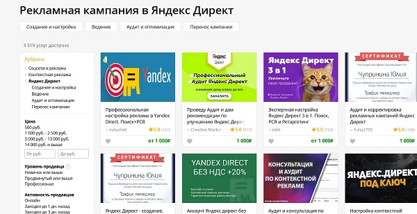 специалист рся Профессия директолог