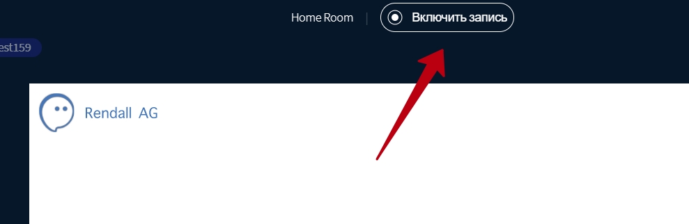 как провести вебинар
