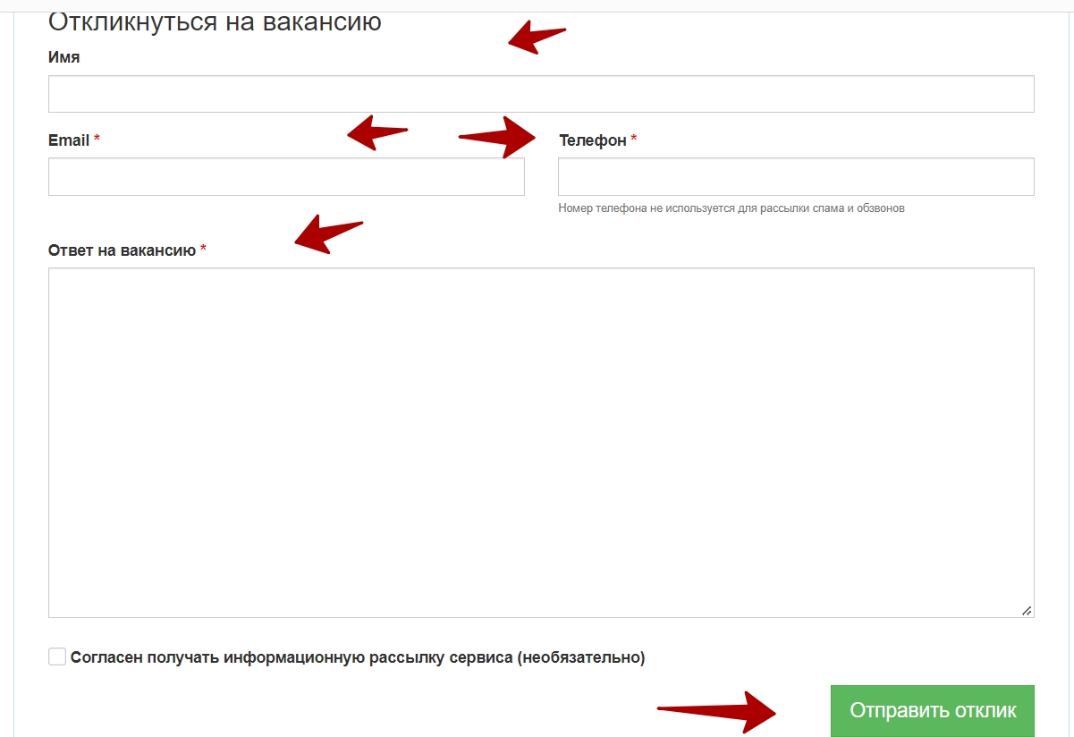 Fullstack дизайнер 